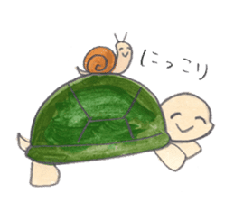 TurtleTurtle sticker #9122786