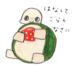 TurtleTurtle sticker #9122794