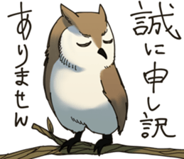 Excuse owl sticker #9124209