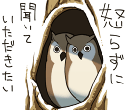 Excuse owl sticker #9124224