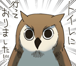 Excuse owl sticker #9124228