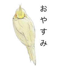 Pearl of the cockatiel. sticker #9124776