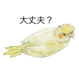 Pearl of the cockatiel. sticker #9124786