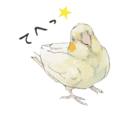 Pearl of the cockatiel. sticker #9124788