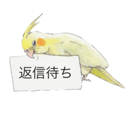 Pearl of the cockatiel. sticker #9124793
