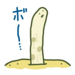 So Cute spotted garden eel