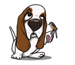 Basset hound 4 sticker #9130501