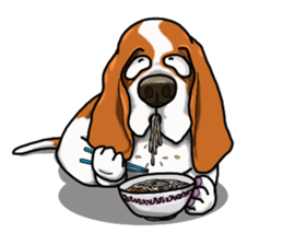 Basset hound 4 sticker #9130510