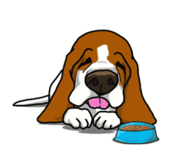 Basset hound 4 sticker #9130513