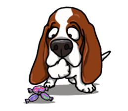 Basset hound 4 sticker #9130516