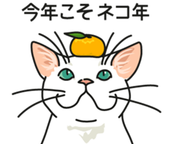 Next year will be a cat year. sticker #9132332