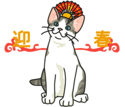 Next year will be a cat year. sticker #9132334