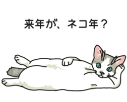 Next year will be a cat year. sticker #9132336