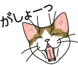 Next year will be a cat year. sticker #9132339