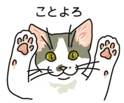 Next year will be a cat year. sticker #9132345