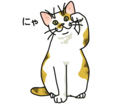 Next year will be a cat year. sticker #9132346