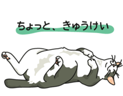 Next year will be a cat year. sticker #9132348