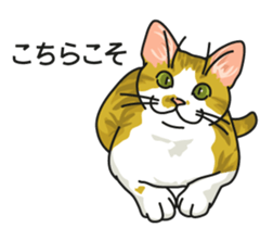 Next year will be a cat year. sticker #9132349