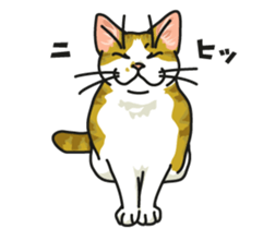 Next year will be a cat year. sticker #9132352