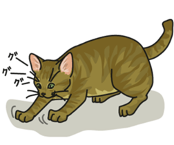 Next year will be a cat year. sticker #9132356