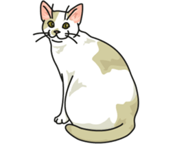 Next year will be a cat year. sticker #9132357