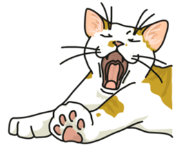 Next year will be a cat year. sticker #9132359