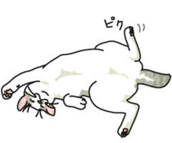 Next year will be a cat year. sticker #9132360