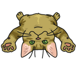 Next year will be a cat year. sticker #9132361