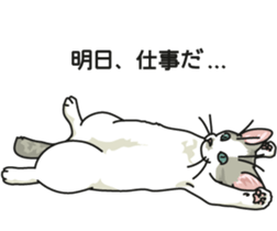 Next year will be a cat year. sticker #9132362