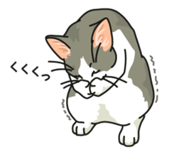 Next year will be a cat year. sticker #9132363