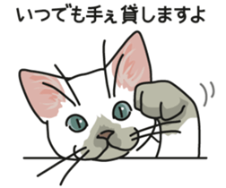 Next year will be a cat year. sticker #9132364