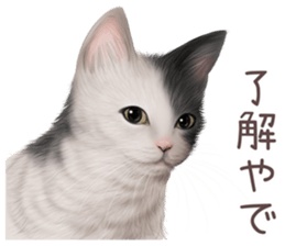 zumo cats sticker vol.4 (Japanese) sticker #9132368