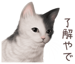 zumo cats sticker vol.4 (Japanese) sticker #9132368