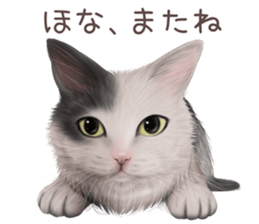 zumo cats sticker vol.4 (Japanese) sticker #9132372