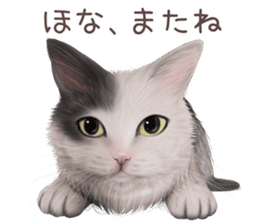zumo cats sticker vol.4 (Japanese) sticker #9132372