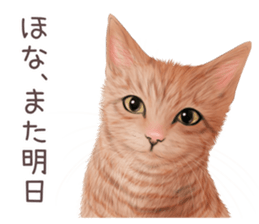 zumo cats sticker vol.4 (Japanese) sticker #9132373