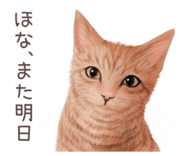 zumo cats sticker vol.4 (Japanese) sticker #9132373
