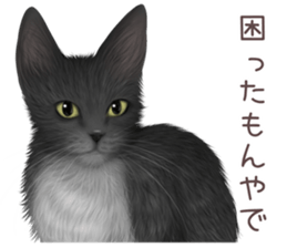 zumo cats sticker vol.4 (Japanese) sticker #9132375