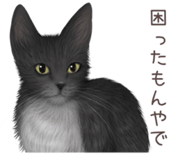 zumo cats sticker vol.4 (Japanese) sticker #9132375