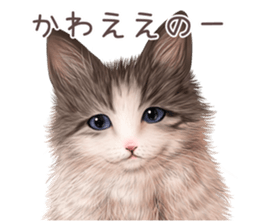 zumo cats sticker vol.4 (Japanese) sticker #9132378