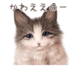 zumo cats sticker vol.4 (Japanese) sticker #9132378