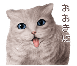 zumo cats sticker vol.4 (Japanese) sticker #9132381