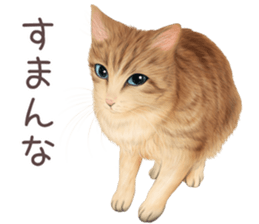 zumo cats sticker vol.4 (Japanese) sticker #9132382