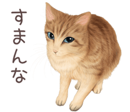 zumo cats sticker vol.4 (Japanese) sticker #9132382