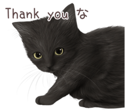 zumo cats sticker vol.4 (Japanese) sticker #9132383