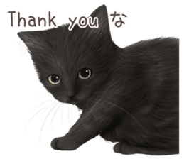 zumo cats sticker vol.4 (Japanese) sticker #9132383