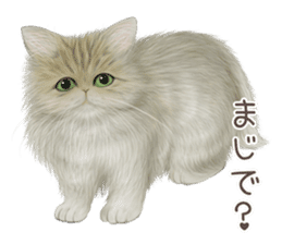 zumo cats sticker vol.4 (Japanese) sticker #9132384