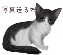 zumo cats sticker vol.4 (Japanese) sticker #9132387