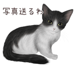 zumo cats sticker vol.4 (Japanese) sticker #9132387