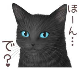 zumo cats sticker vol.4 (Japanese) sticker #9132388